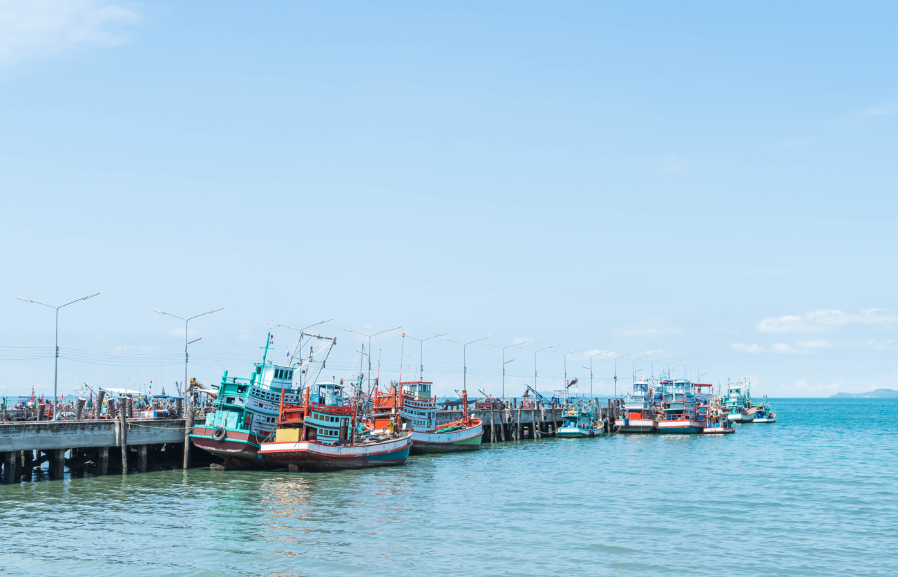 Barco de pesca: Tudo o que você precisa saber antes de comprar o seu